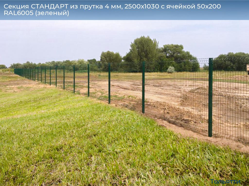 Секция СТАНДАРТ из прутка 4 мм, 2500x1030 с ячейкой 50х200 RAL6005 (зеленый), tolyatti.doorhan.ru
