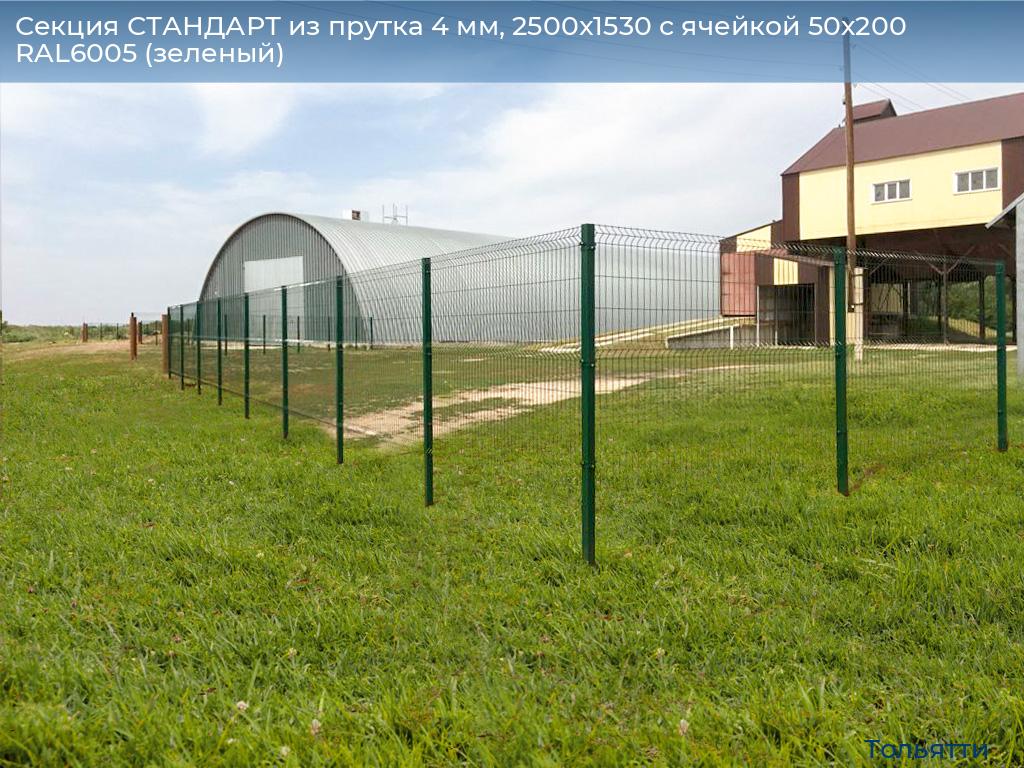 Секция СТАНДАРТ из прутка 4 мм, 2500x1530 с ячейкой 50х200 RAL6005 (зеленый), tolyatti.doorhan.ru