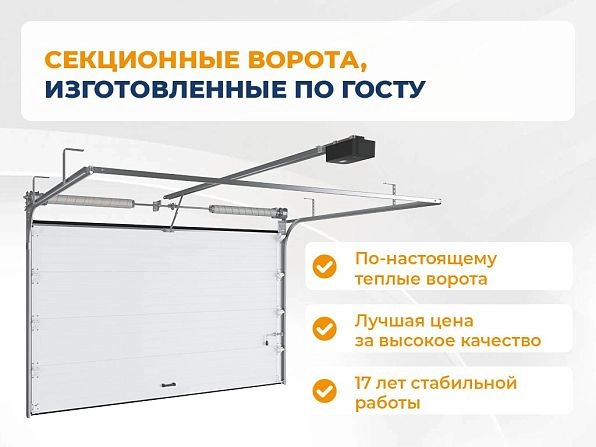 Cекционные ворота 3700х2200 мм коричнево-красные DoorHan RSD02, tolyatti.doorhan.ru